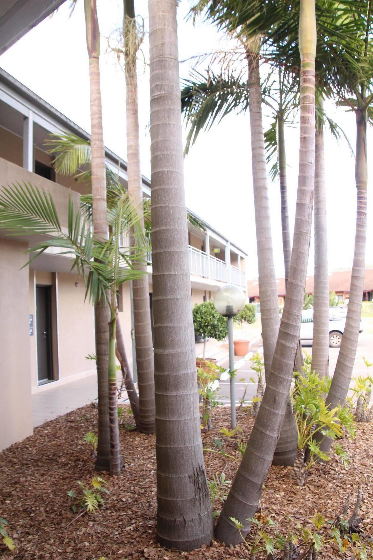 The Galaxy Motel Gosford Ngoại thất bức ảnh